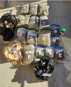 Screenshot_20240715_154435_Samsung-Internet