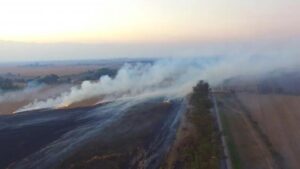 archivo-1047173-114110