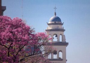 17267978700248496043771939424772