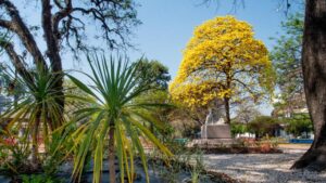 17279534929631210494977229095936