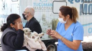 17279862053519018027924386224281