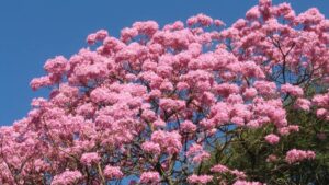 17280407904998312258584631299875