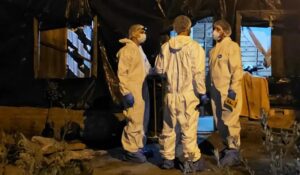 17282153540688884020975931569039