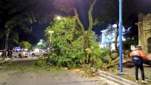 17286489650068860068895786025386