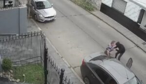 17307308316302837415238488796023