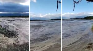 17329261660972790644774258460623