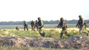17333136339495029835116688116181