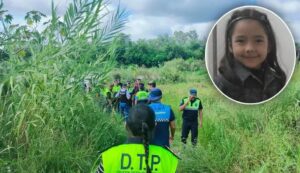 17410351079265320162340934479393