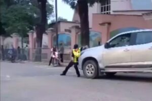 17478383891236369372453024697389