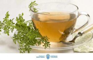 17539826759672317493544294938955