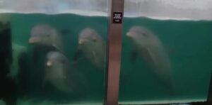 17554422653994106696525724920512