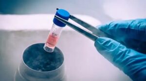 17622955865957186648780255782983