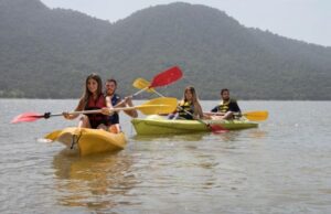 17653062853653517045705113302459