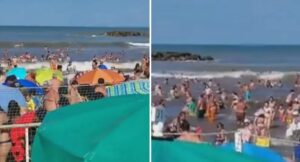 17683014769184268336412614465353