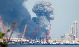 17722812083052509109254176692310