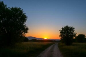 17724477932662553320359914502218