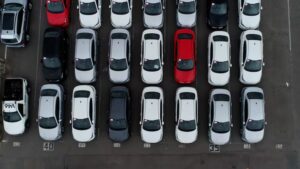 17724785411588130671527684081637