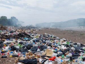 17725425769892601796781591449044