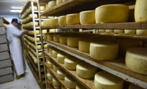 17726192157193636971954979309043