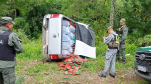 17727254977709212471737329985259