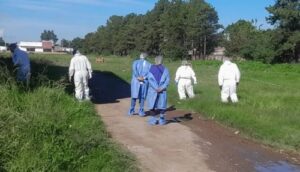 17728484745115348301316945024896