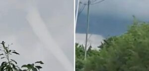 17729247551924491787861723837651