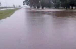 17730686991944354500661652988047