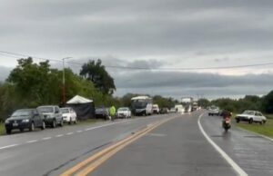 17732458018431358791346724250393