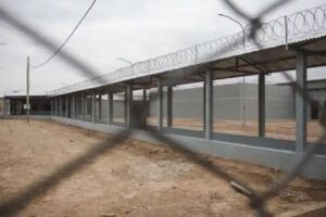 1773264056809145004454209443014