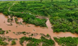 17733537739391246060865081904578