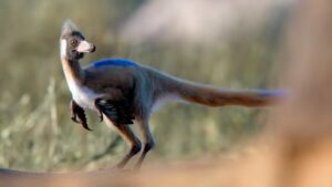 17735825777875699466197918946835