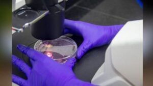 1773632495749831064973512684685