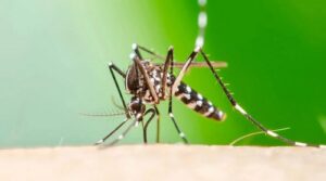 17737881467117866877933132840474