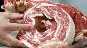 17739212736922341899877294090704