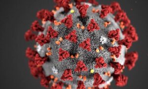 17739606779647090565817583175760