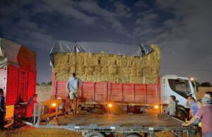 17739812897242634557041559842868