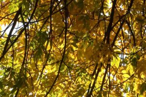 1774102382431487480101171705974