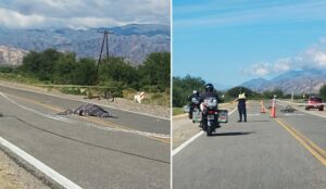 17742196357428251195892033027313