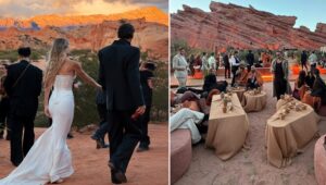 17745419171205549917795789713505