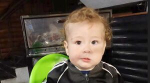 17746629146005525101722866093798