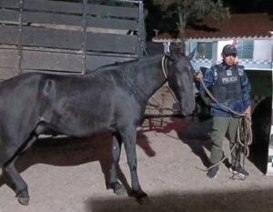 17746950773833857587106584366863