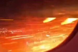 17749518296485712580722464994733