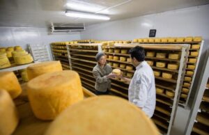 17749732374006398844711899635276