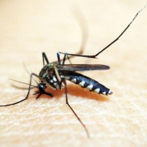 b093fcaff33c0db58935585bbd8247b2