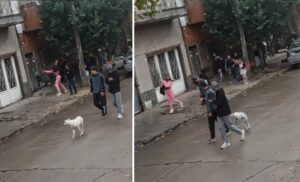 17764219636386444294514127901003