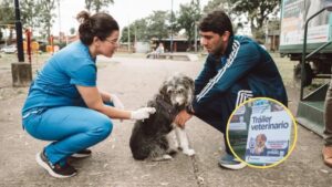 17764667031975112891510401379535