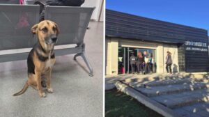 17764777626045164902558906910194