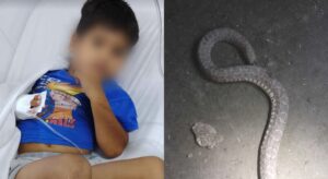 17765495809665023233228016551606