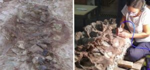 17765498174611834243936225359498