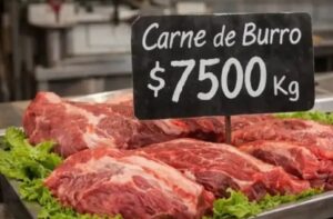 17767137819232172711775792389901